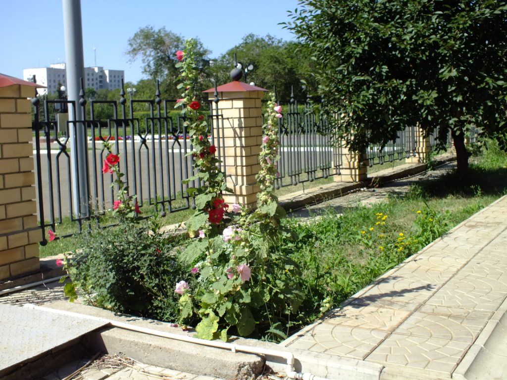 DSCF1992.jpg