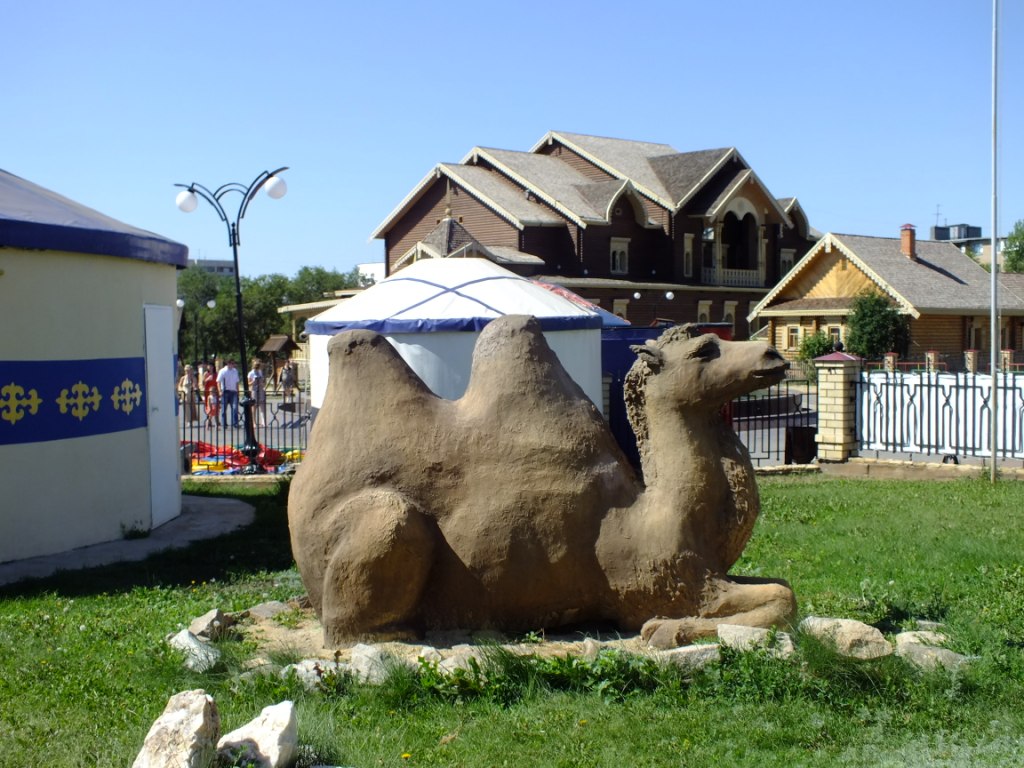 DSCF1996.jpg