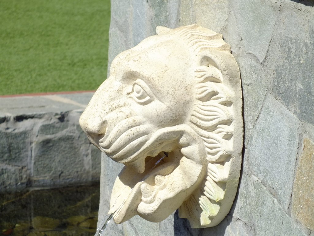 DSCF2020.jpg