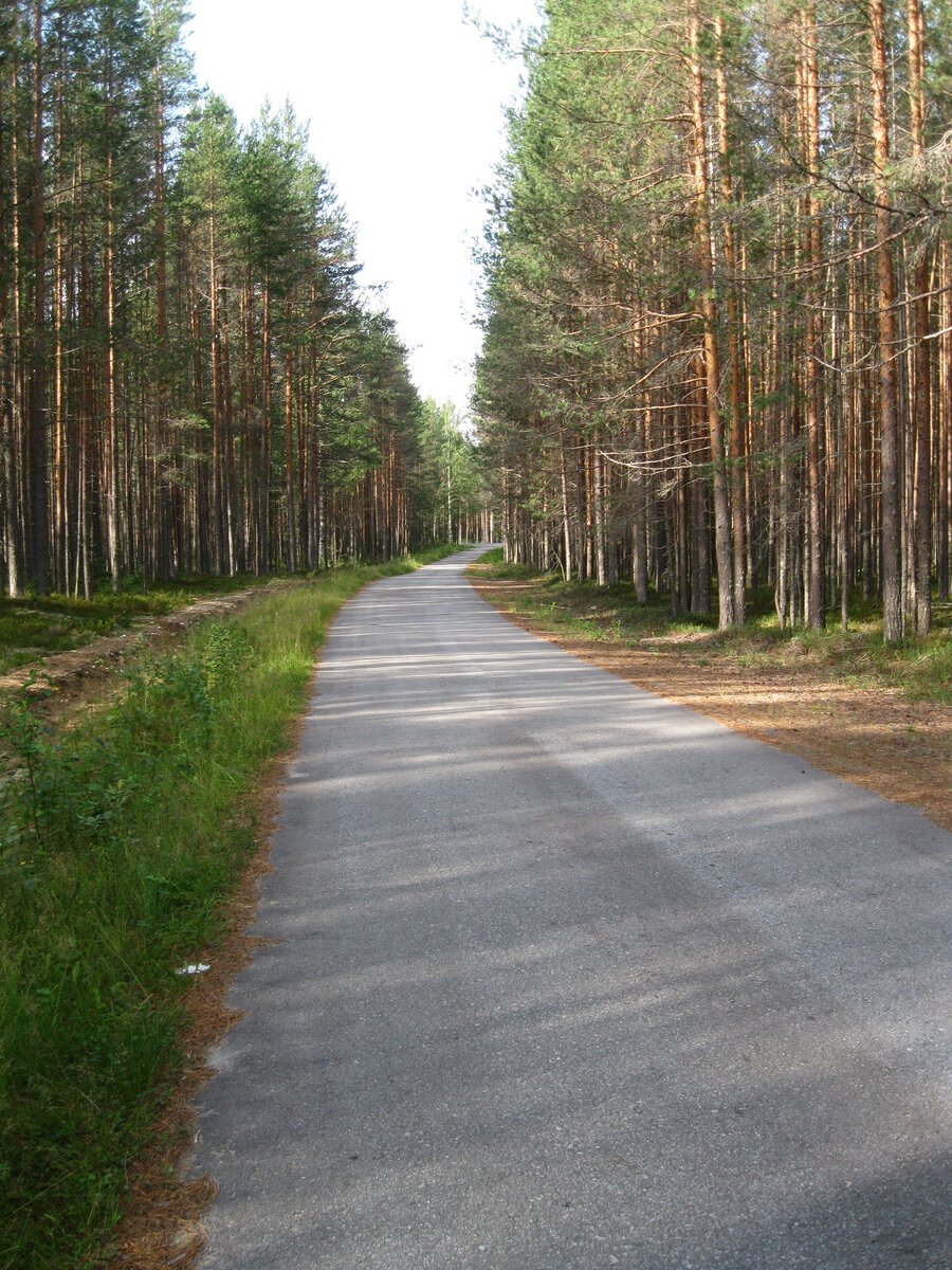 IMG_6640.JPG