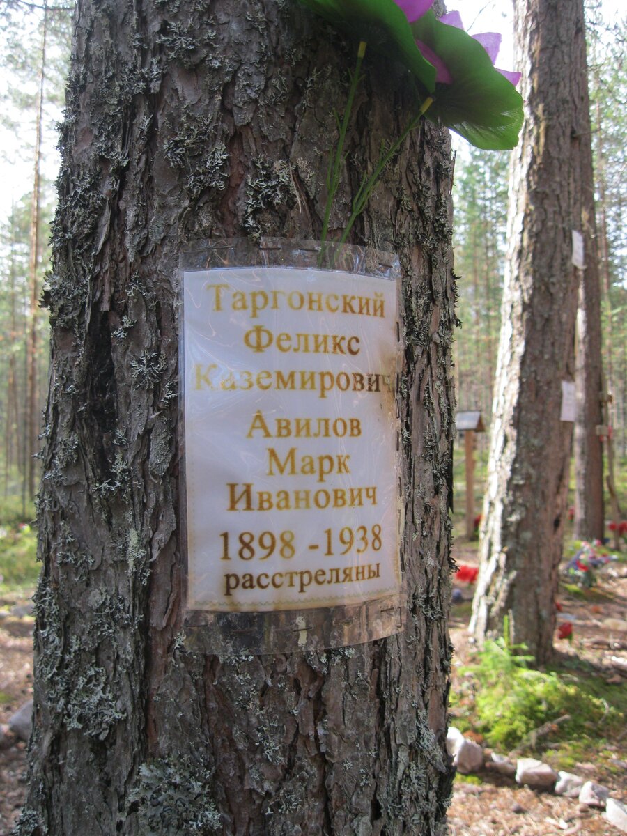 IMG_6631.JPG