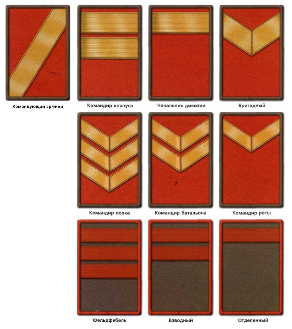 4937662.jpg