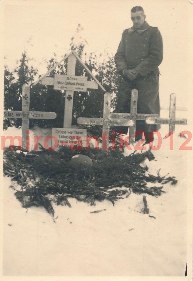 орг.JPG