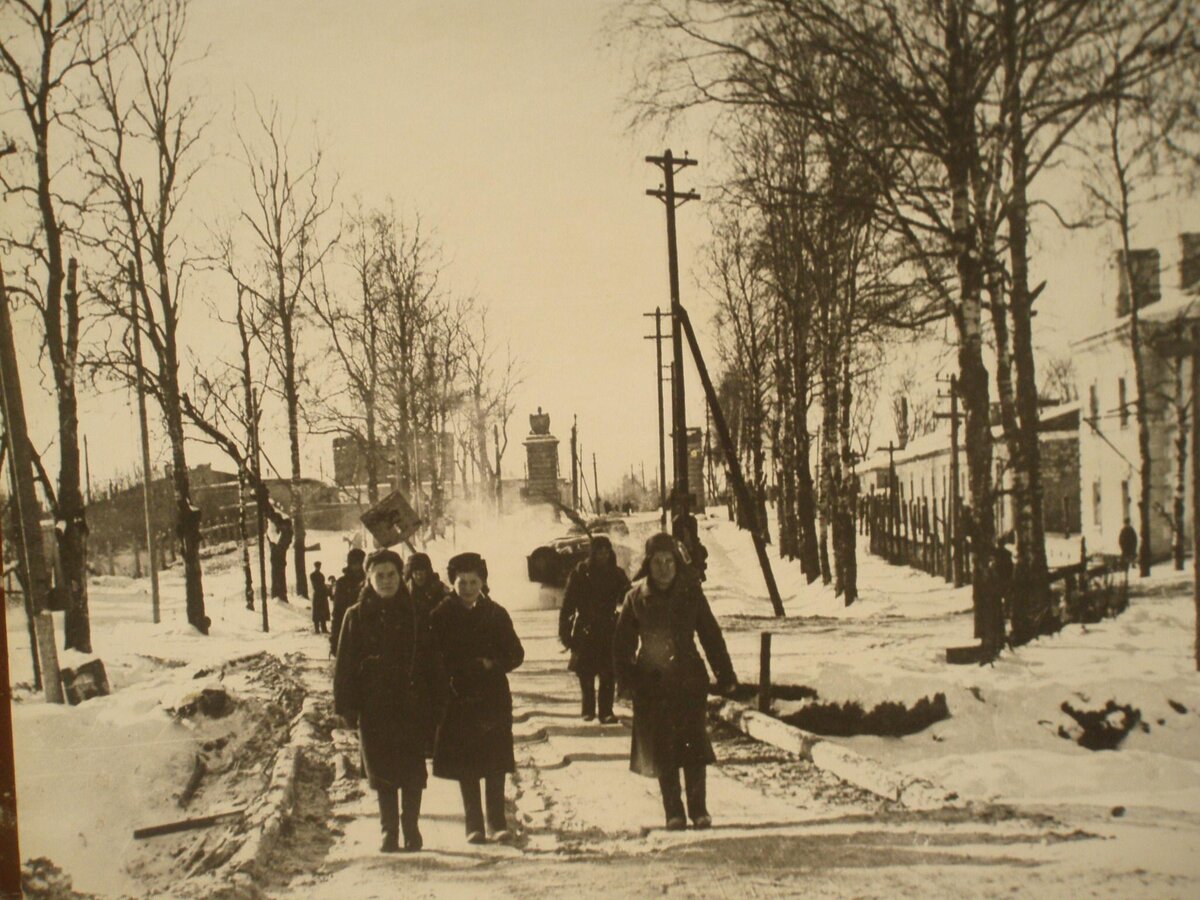 Луга 1941 фото