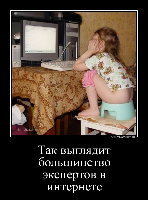 demotivatorium_ru_tak_vigljadit_bolshinstvo_ekspertov_v_internete_158377.jpg