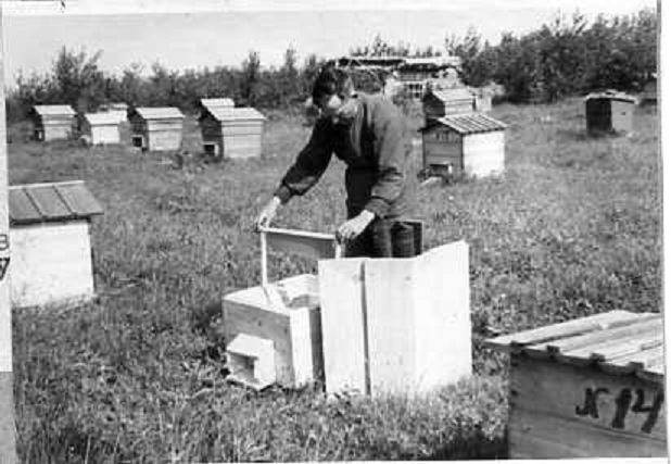 35e07808ea44.jpg