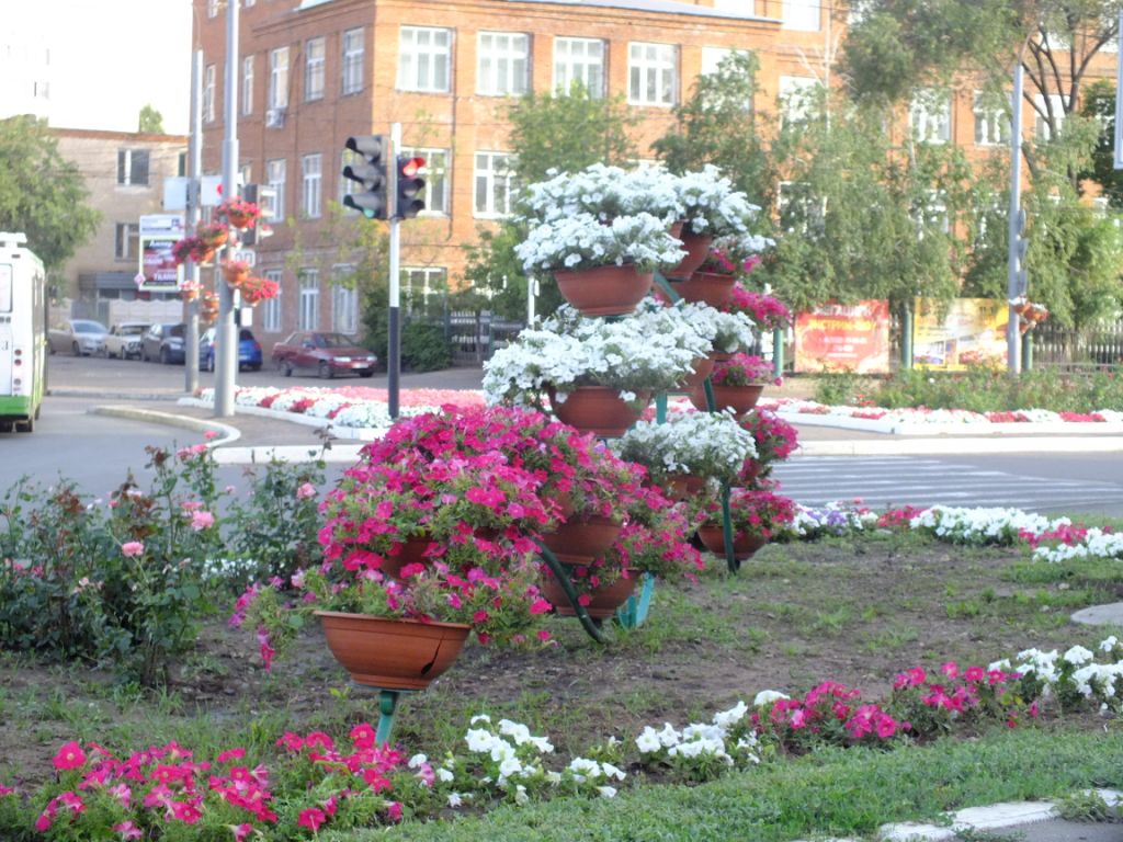 DSCF1771.jpg