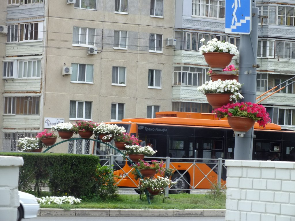 DSCF2212.jpg