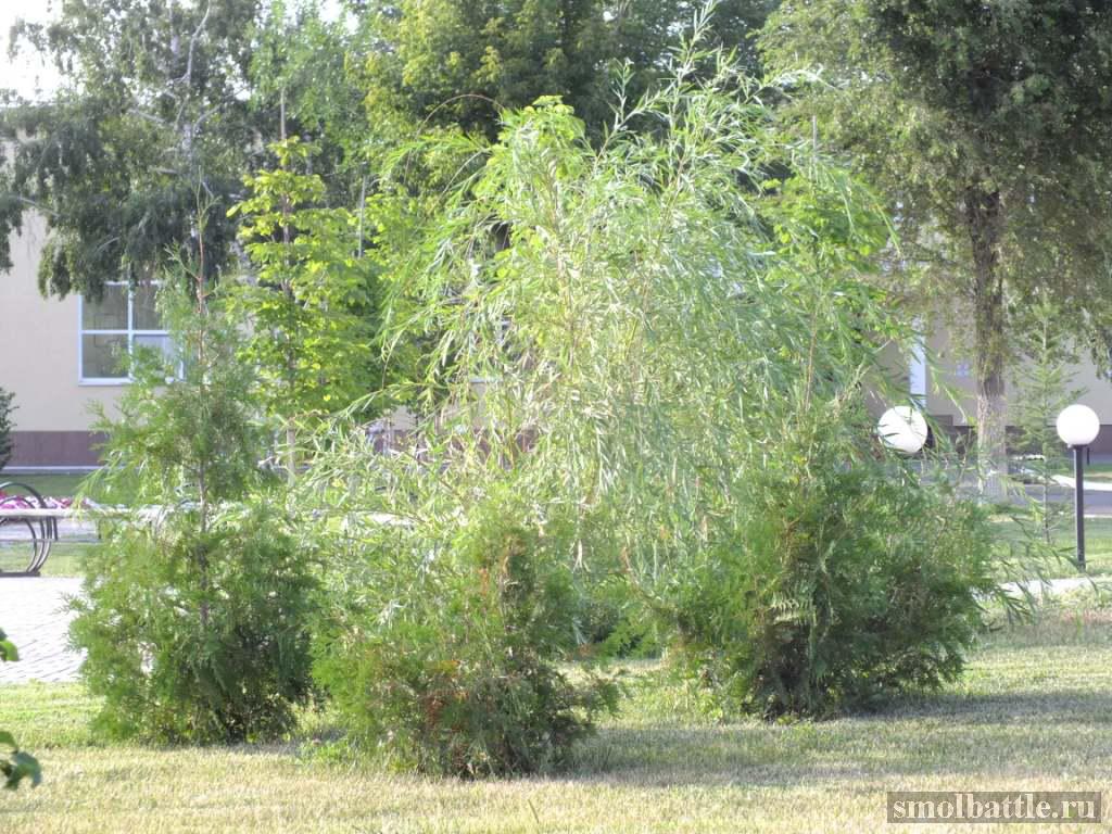 DSCF1766.jpg