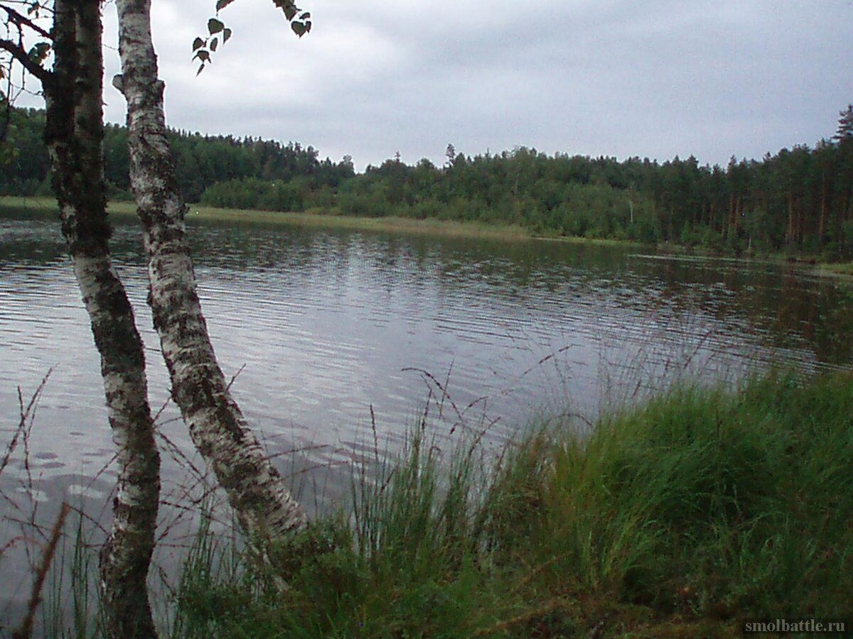 753_086.jpg