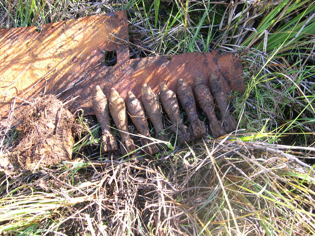 DSCN0047.JPG