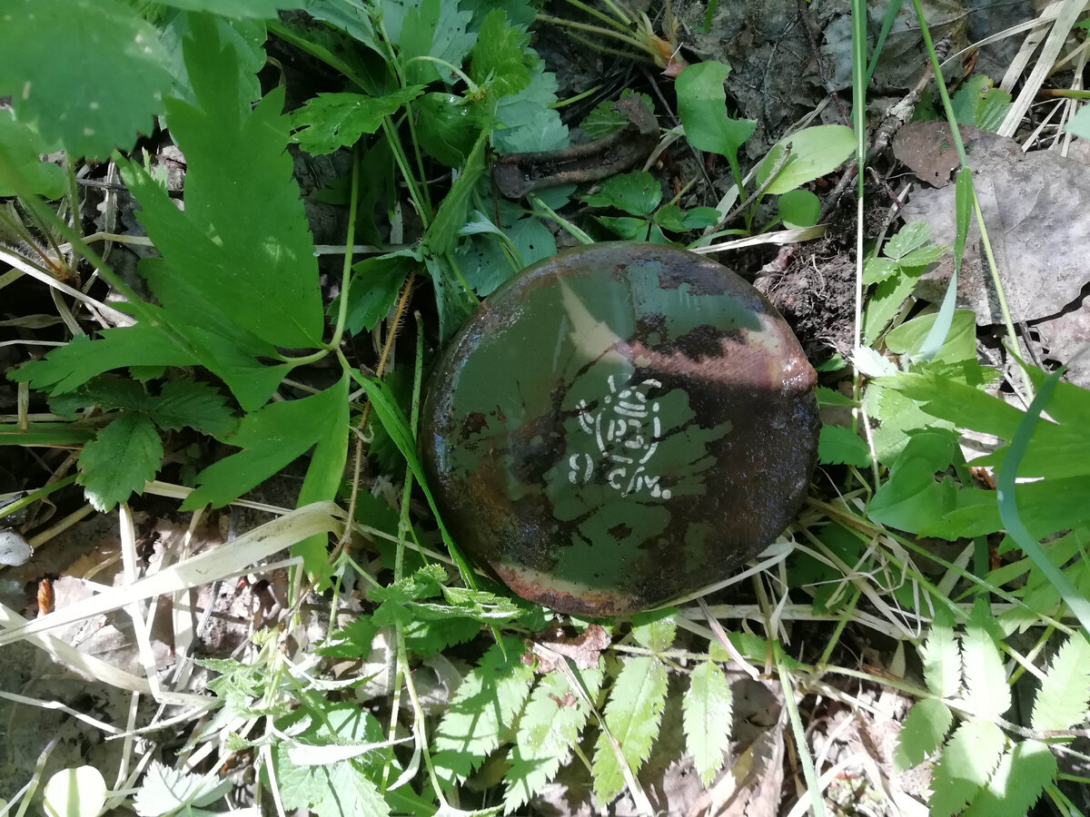 IMG_20180528_120916.jpg