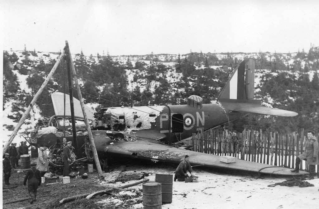 най_Avia_canadian Deegby.jpg
