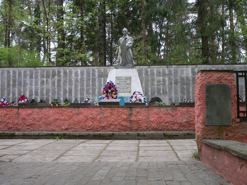 Демидовский Район Фото