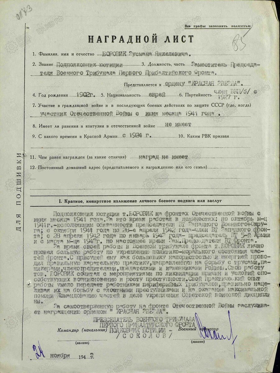 БОРОВИК.jpg