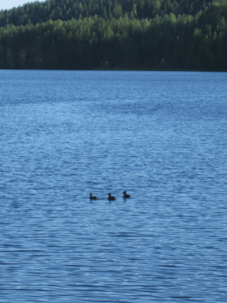 IMG_6525.JPG