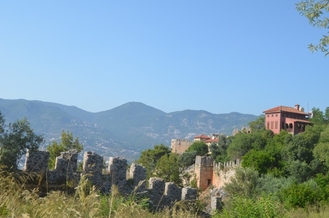 DSC_0153.JPG