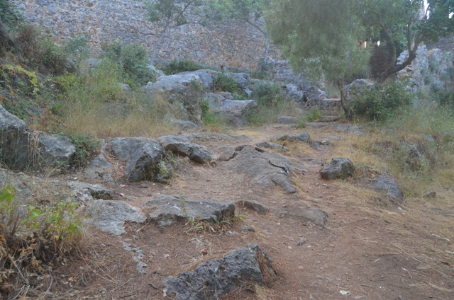 DSC_0172.JPG