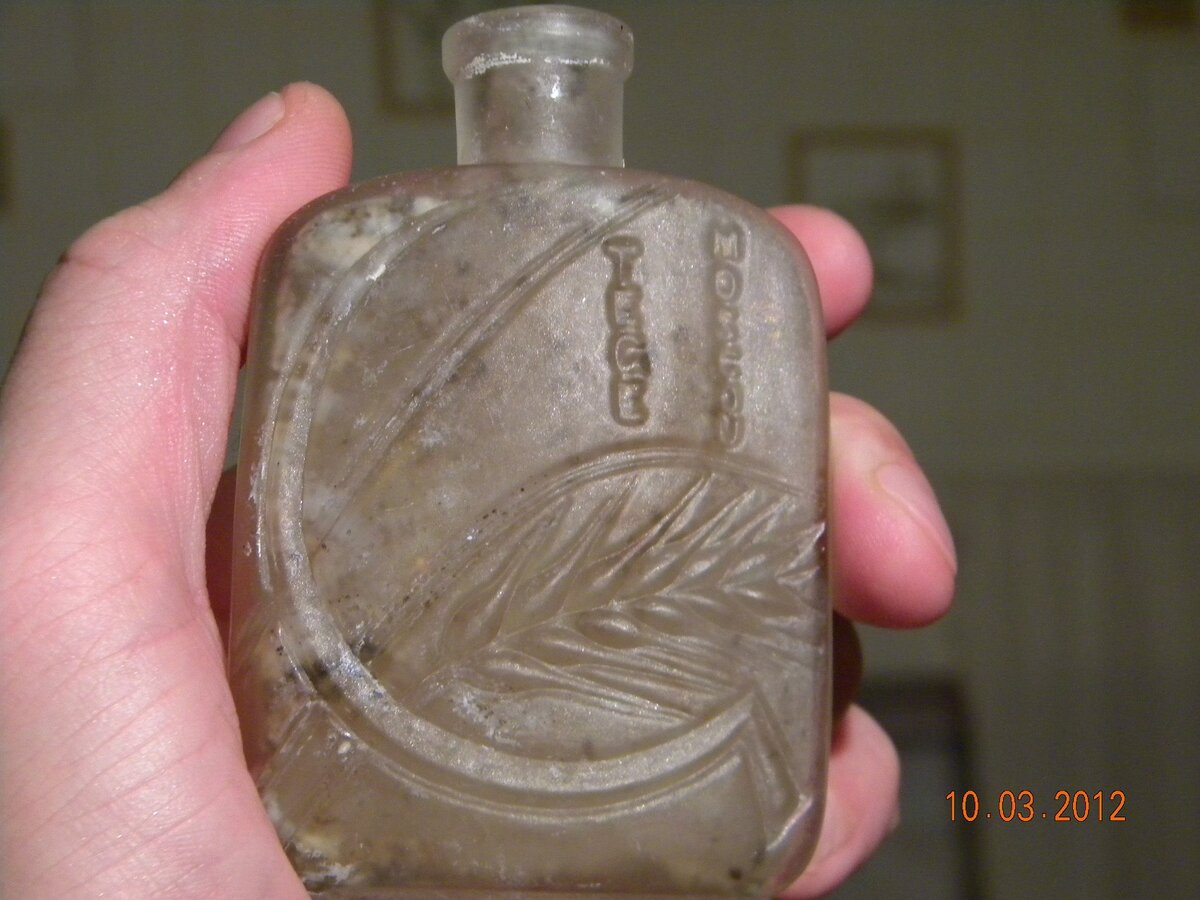 DSCN11333.jpg