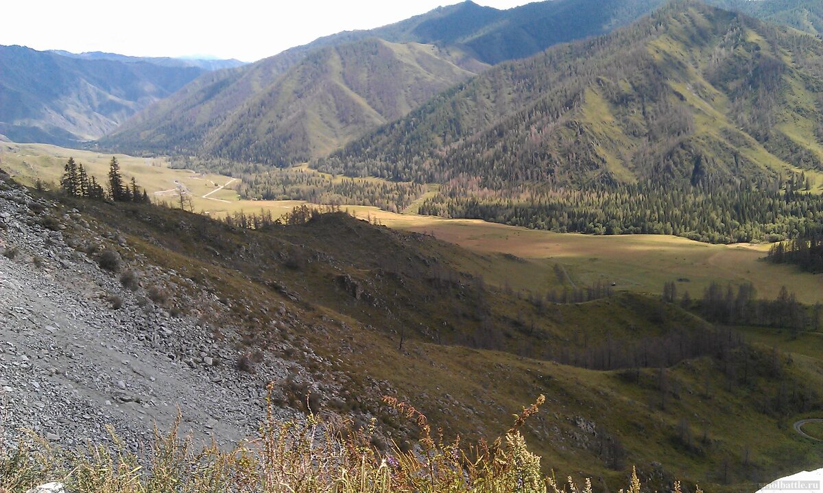 IMAG0530.jpg