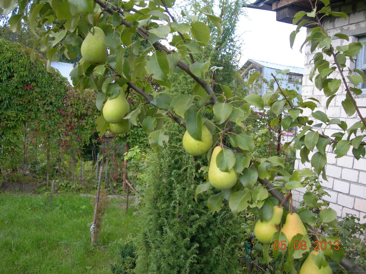 DSCN9875.JPG