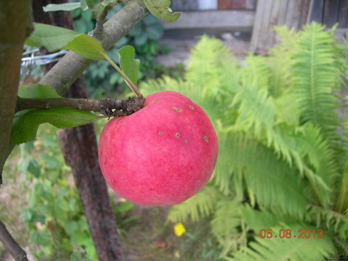 DSCN9881.JPG