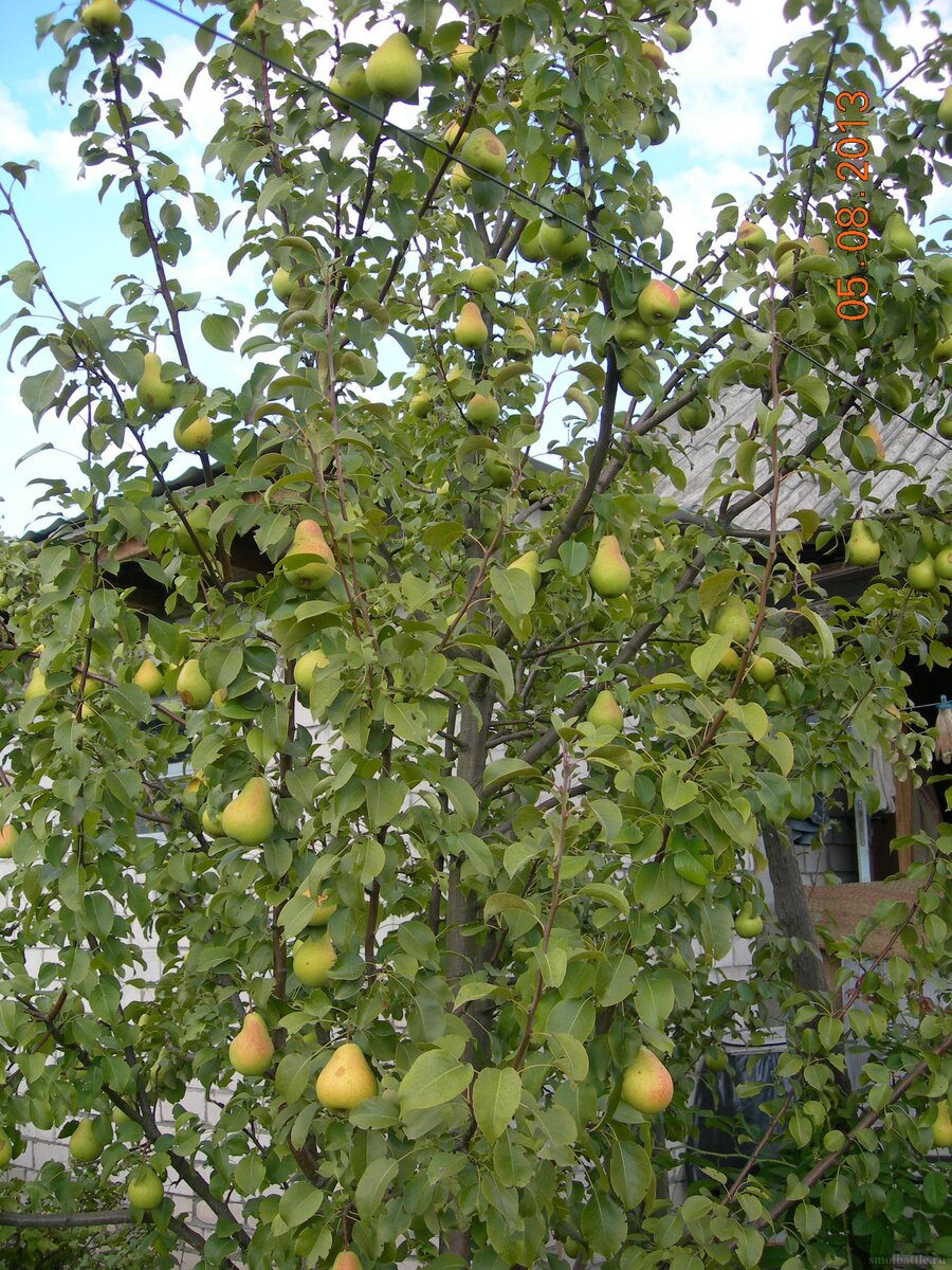 DSCN9872.JPG
