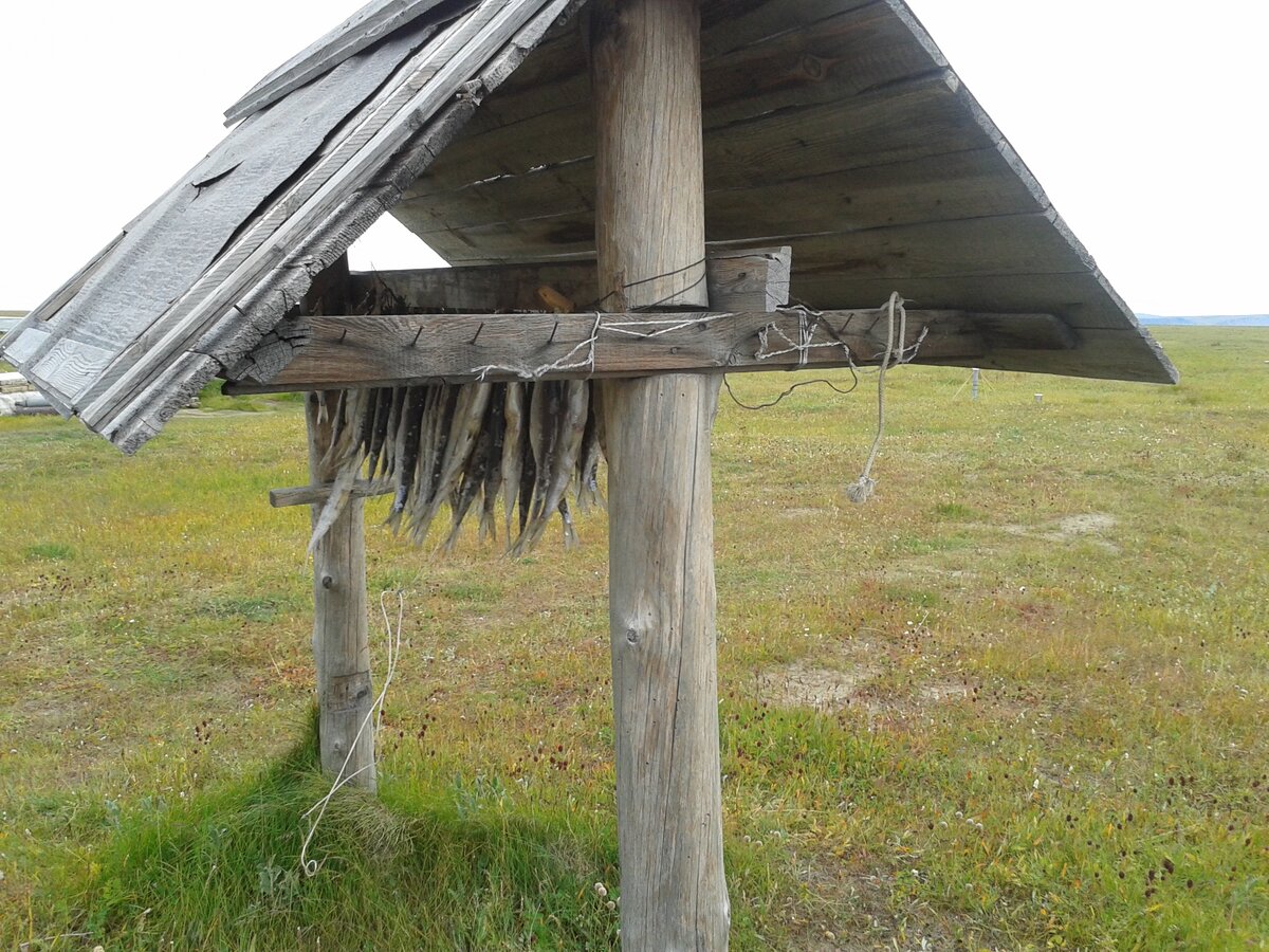 20130823_105546.jpg