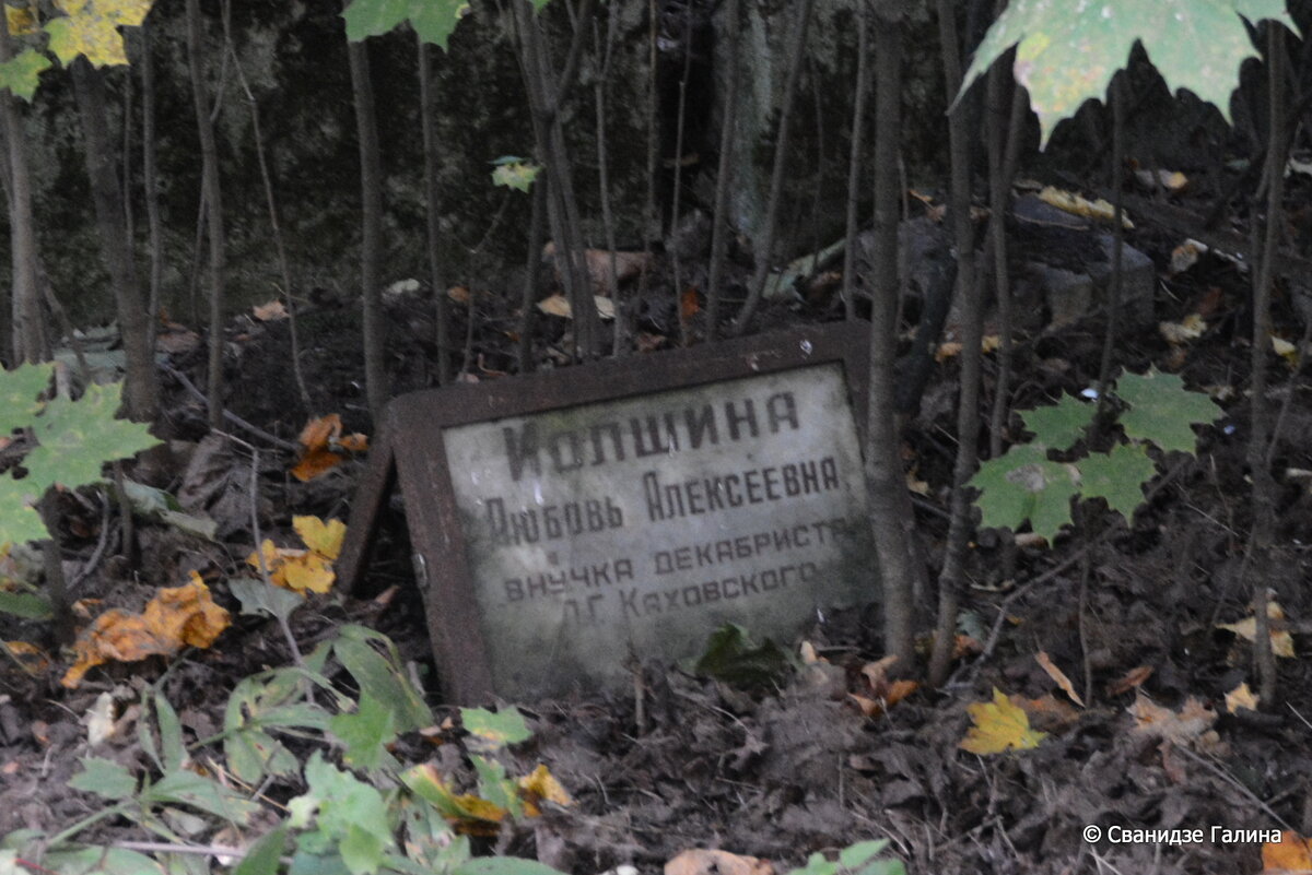 DSC_1325.JPG