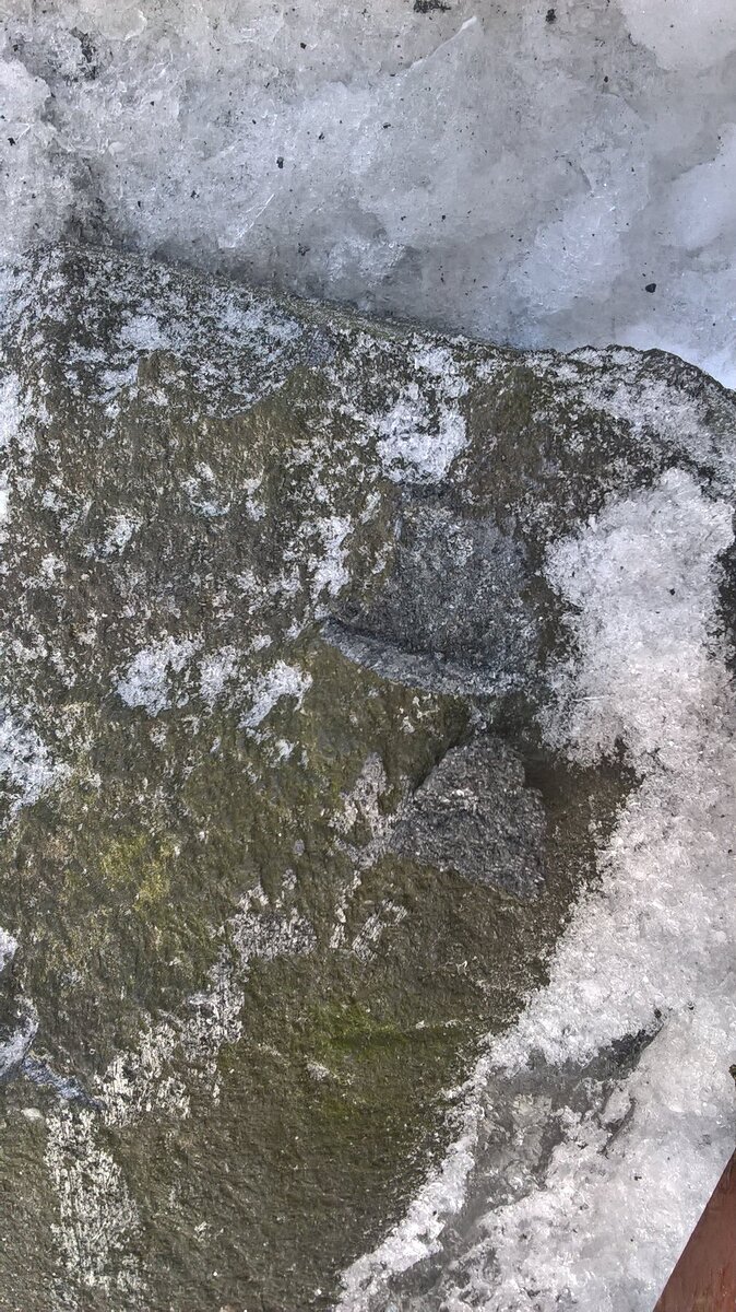 WP_20190302_14_58_53_Pro.jpg