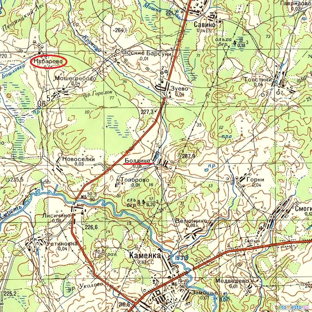 1196295.jpg
