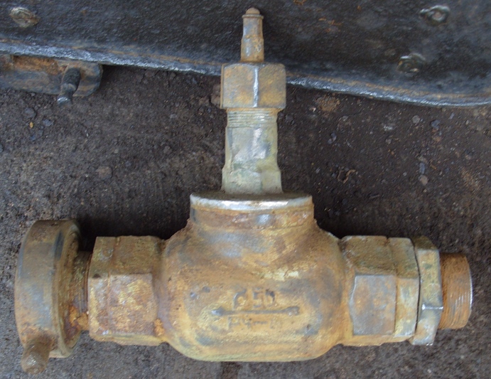 S1051996.JPG
