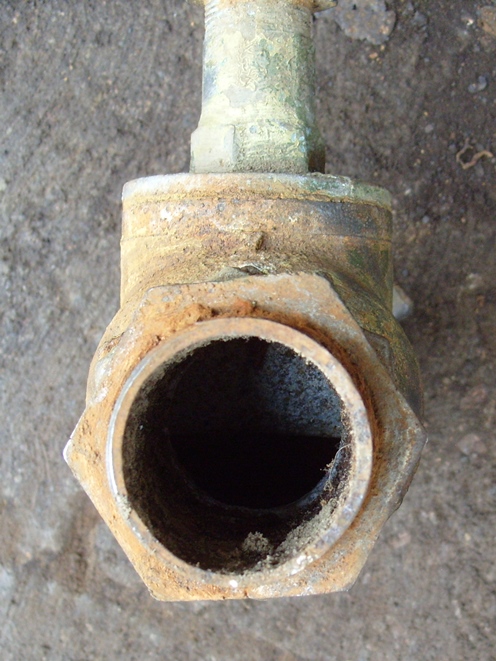 S1052001.JPG