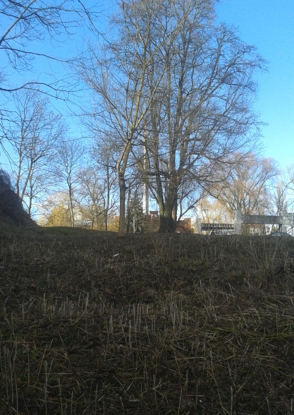20190314_174200.jpg