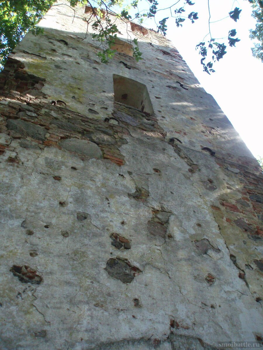 753_084.jpg