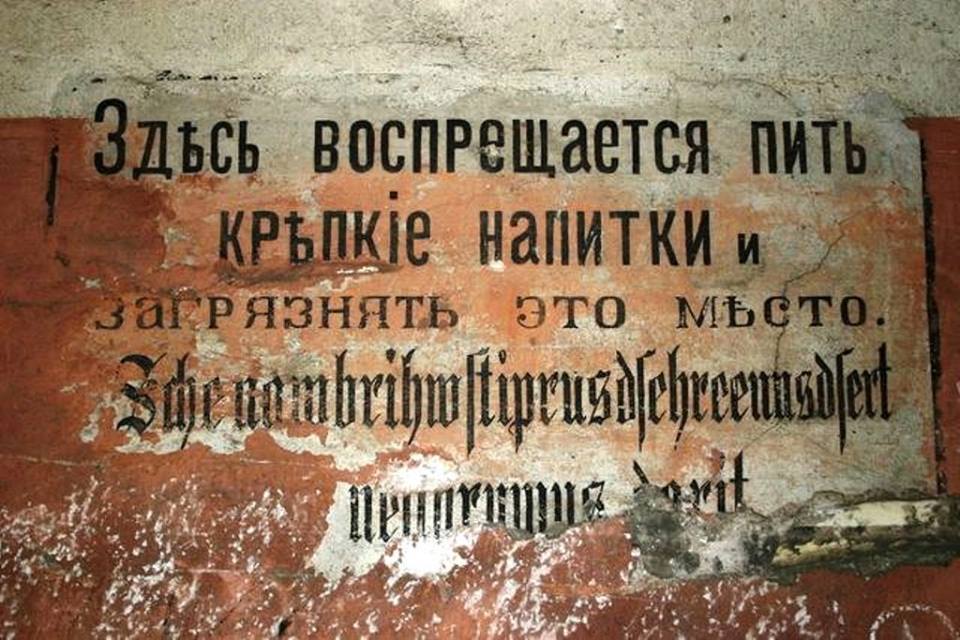 10846190_750189625059977_6475913707123126652_n.jpg