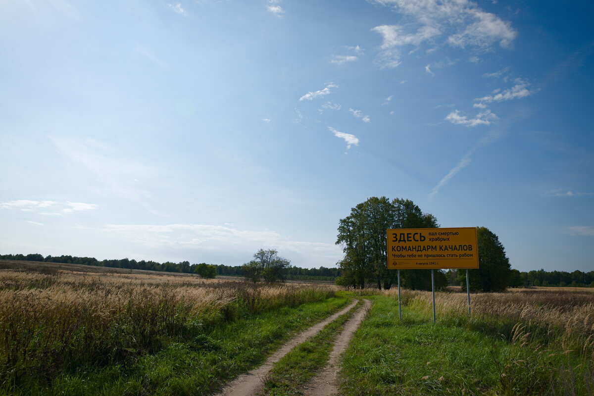 DSC_5455.jpg