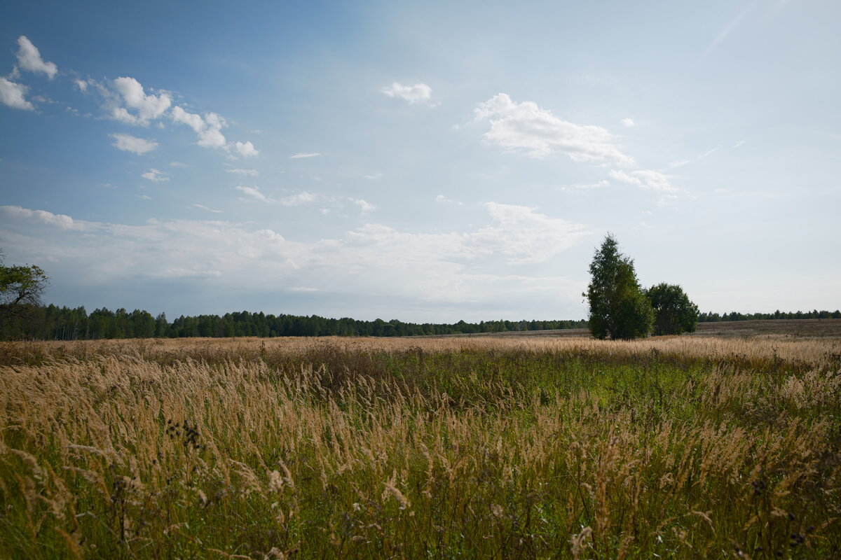 DSC_5465.jpg