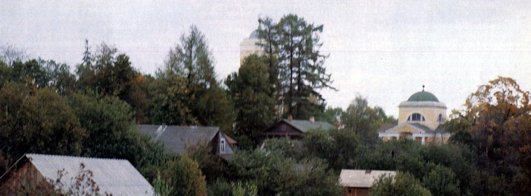 wg9hnerwtnsulg6an9.jpg