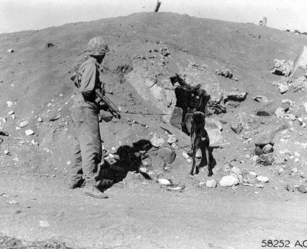 0 __иводзима. мор. пех. и собака.jpg