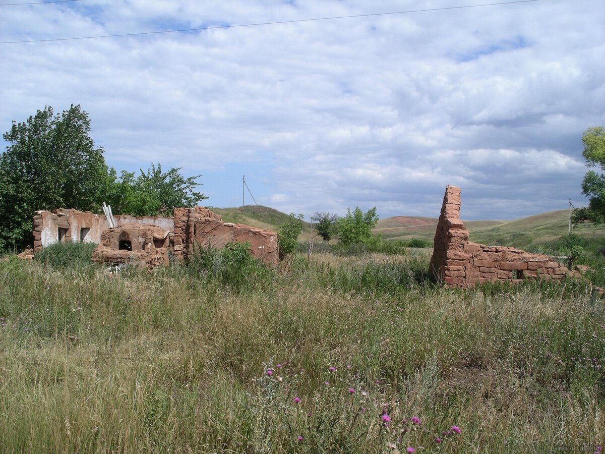 IMGP2133.JPG