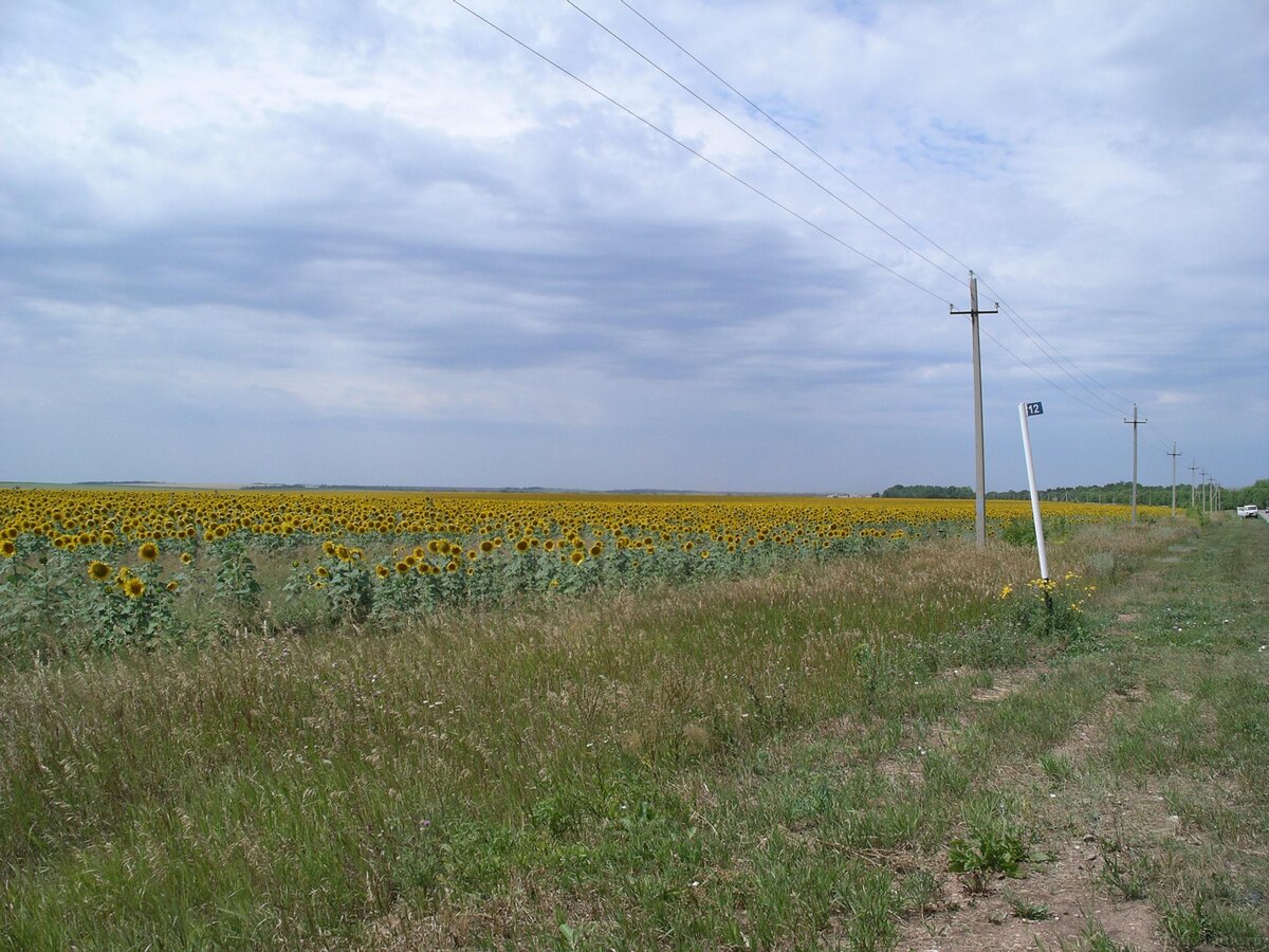 IMGP2136.JPG