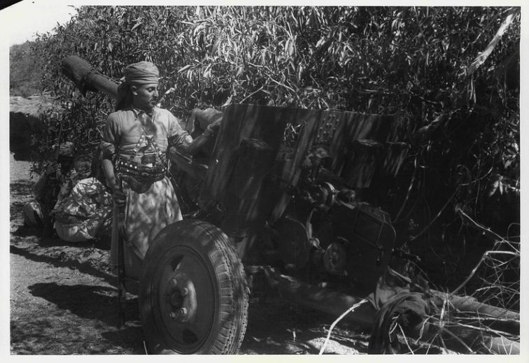 ЗиС-3_Йемен-1968г_роялист ген.Эмир Хассан.JPG