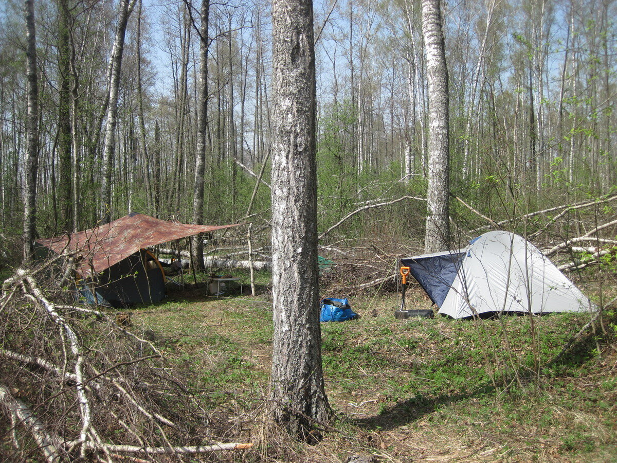 IMG_5156.JPG