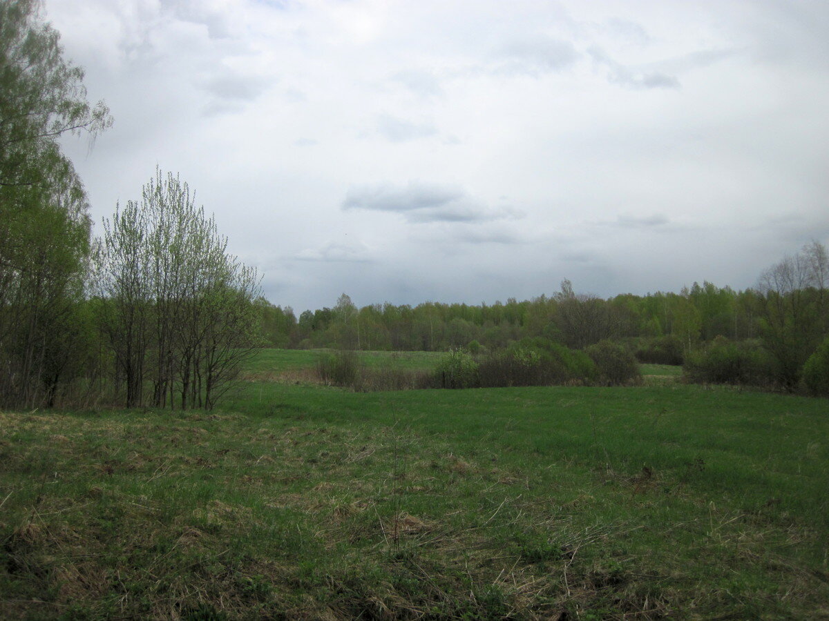 IMG_5225.JPG