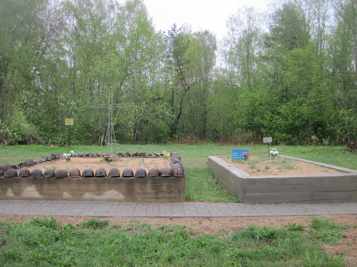 IMG_5251.JPG