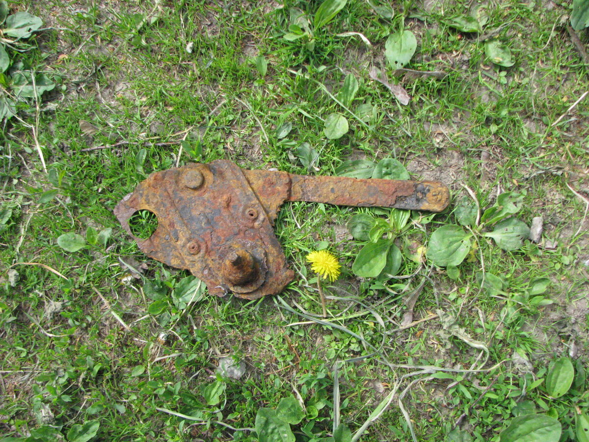 IMG_3778.JPG