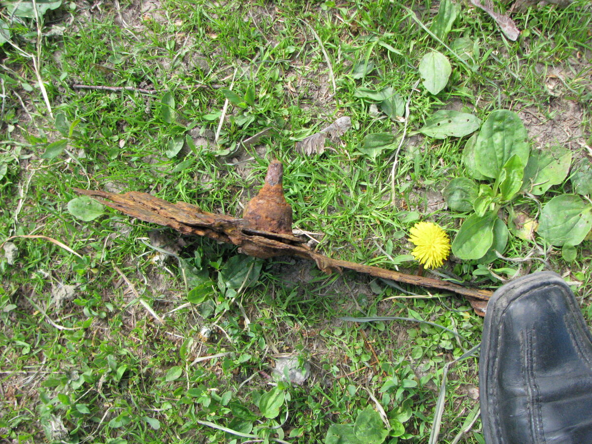 IMG_3780.JPG