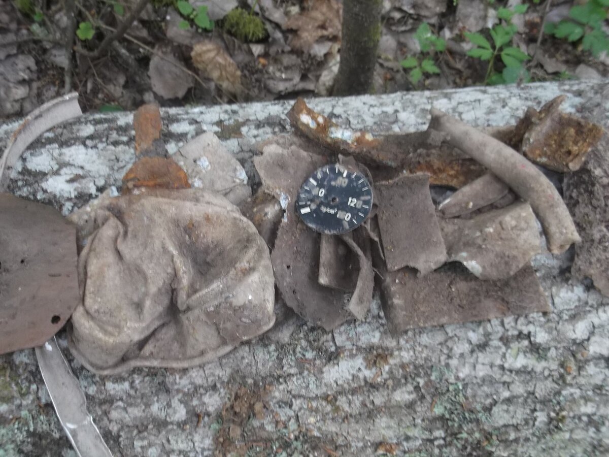 DSCF8978.JPG