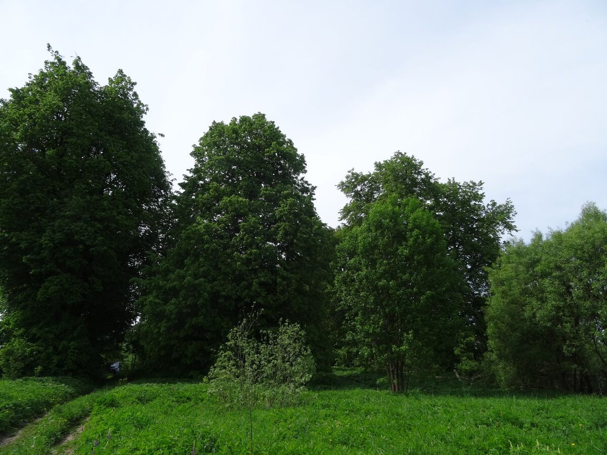 DSC07952.JPG